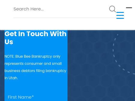 Blue Bee Bankruptcy Law