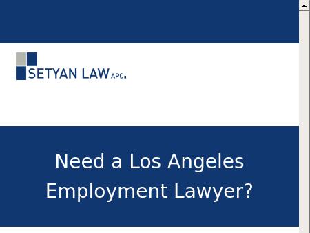Employment Lawyers