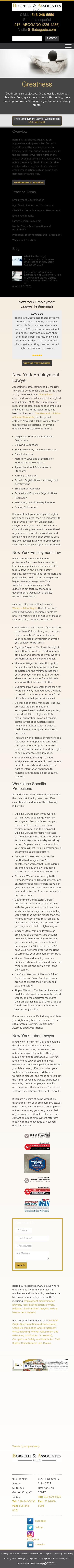 Borrelli & Associates, P.L.L.C. - New York NY Lawyers